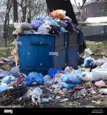 Best Garage Cleanout  in Haverhill, FL